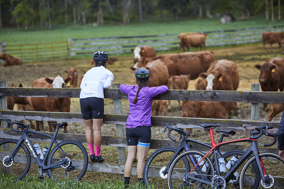 How to wear bike shorts - The Trek Blog