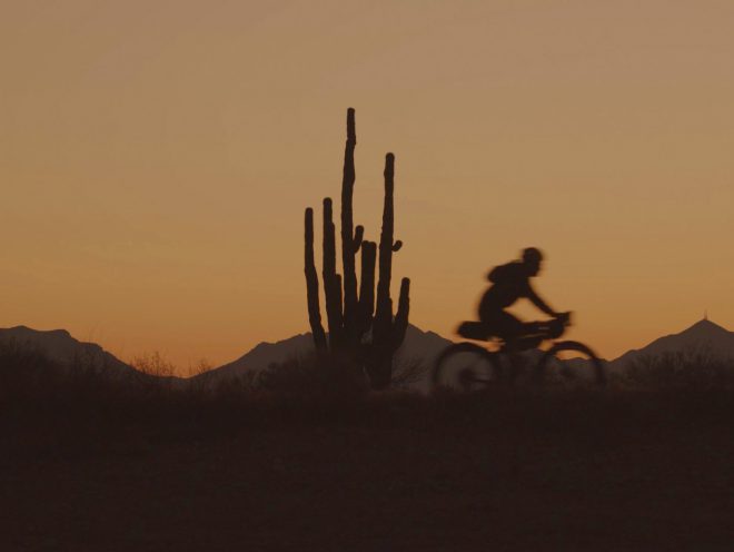 Silhouette of rider at sunset beside cactus with mountains in background.