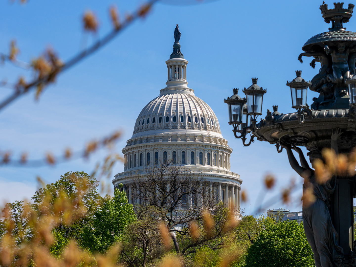 A distant image of the dome of the white house appearing behind tree tops on a clear day.