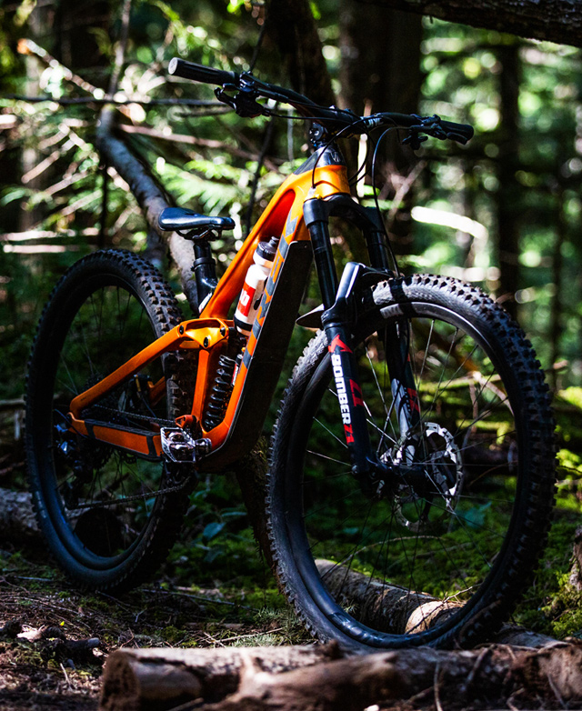 A bike posed in the woods