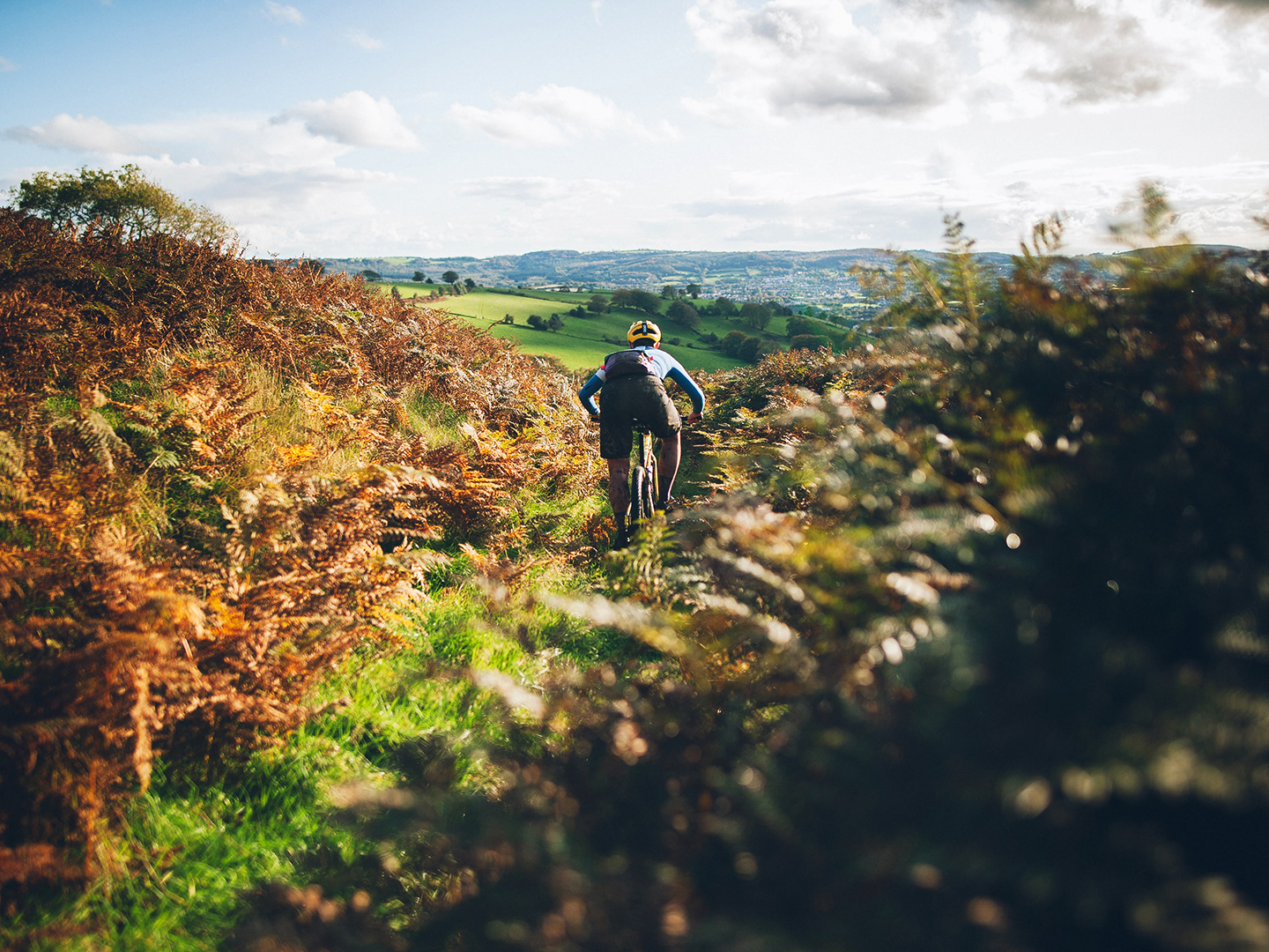 Rider pedals away from the camera between two overgrown hedgerows 