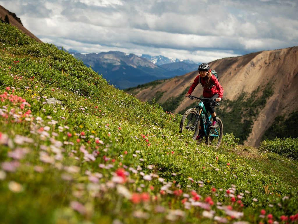 Rider climbs up mountain trail with wild flowers