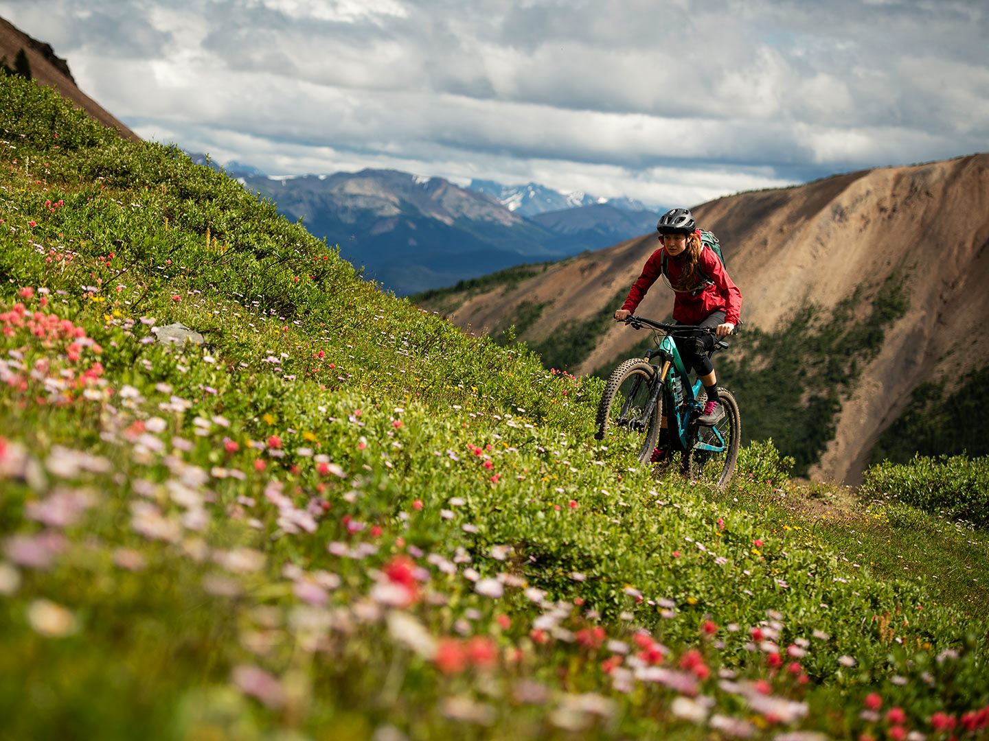 Un ciclista subiendo un sendero de montaña cubierto de flores silvestres.