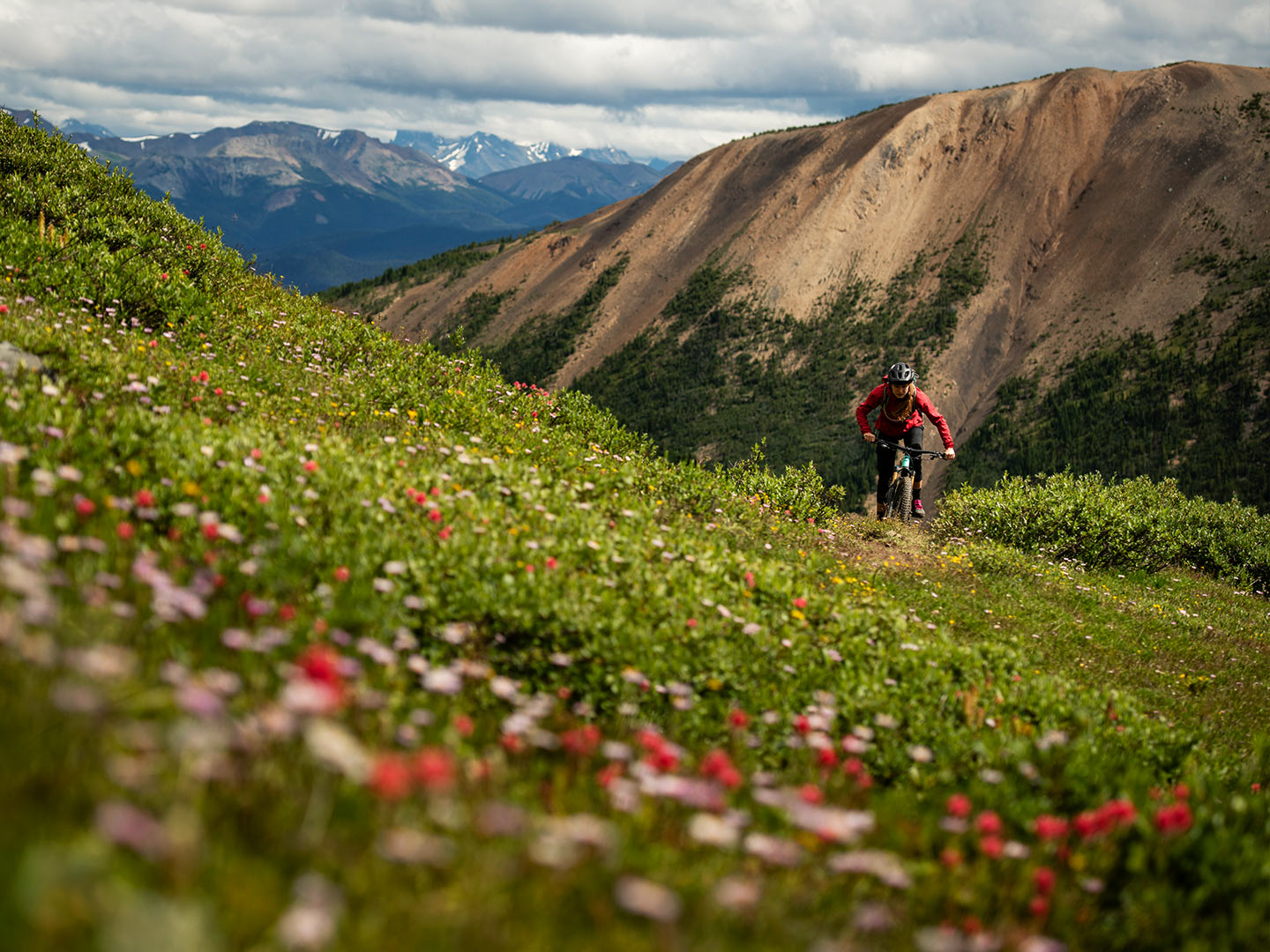 Biker stoupá po trailu posetém lučními květinami.