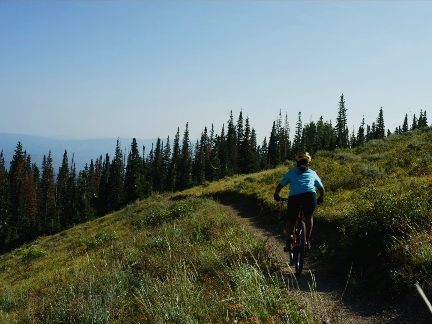 Genesis rides away from the camera on a green mountain side, towards large pine trees.