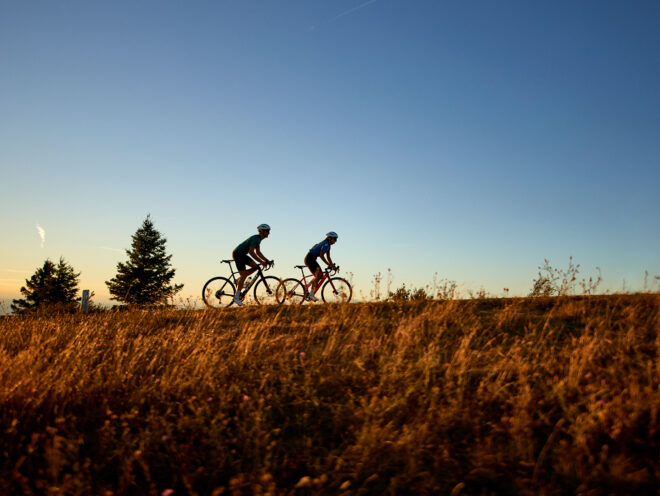 Two cyclists ride down a scenic gravel road.