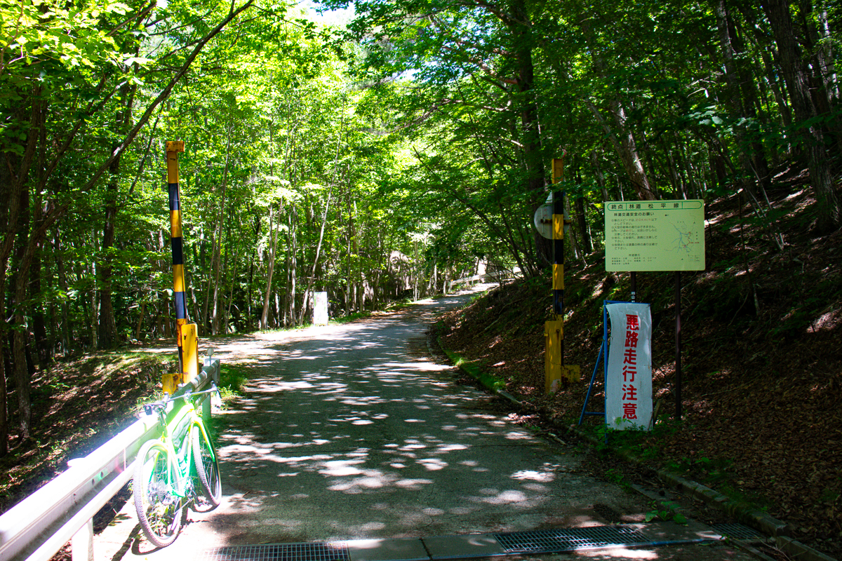 Checkpointも嬉しいのでしょうか、神々しく輝いています。