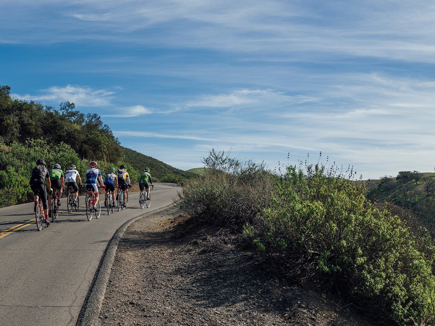 A group of cyclists ascending on Mount Diablo.